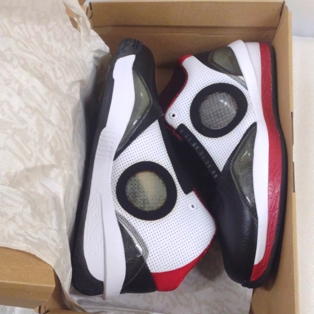 Air Jordan 2010